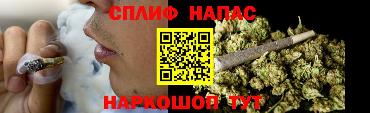 МАРИХУАНА сатива Мичуринск